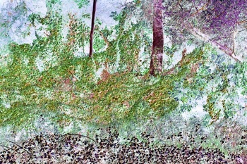 N 066A
